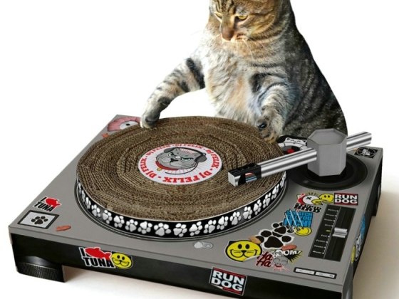 Suck Uk 宠物玩具小猫打碟机/小猫DJ台 创意小猫玩具 Cat Scratch Turntable