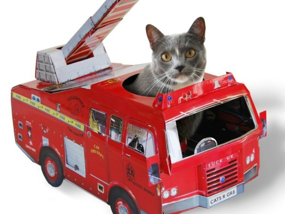 Suck UK 小猫玩具 消防车/飞机/汽车 Cat Toys