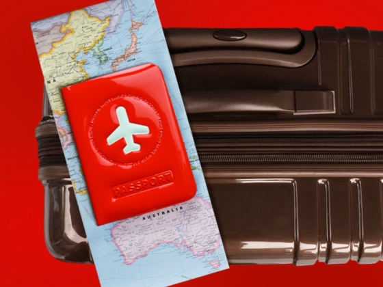 ALife 飞机造型护照夹 快乐旅行护照套/Passport Cover